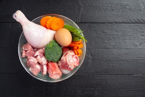Protein là gì