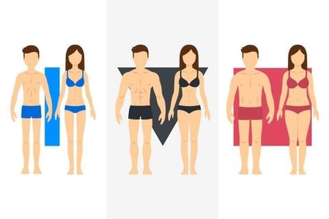 Ectomorph, Mesomorph, Endomorph Là Gì? Cách Tập Luyện Hiệu Quả Cho Từng Tạng Người