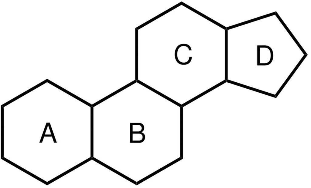 Cùng tìm hiểu về Steroid