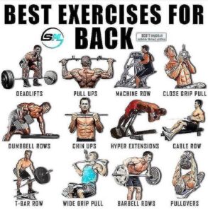 Top 7 back workouts