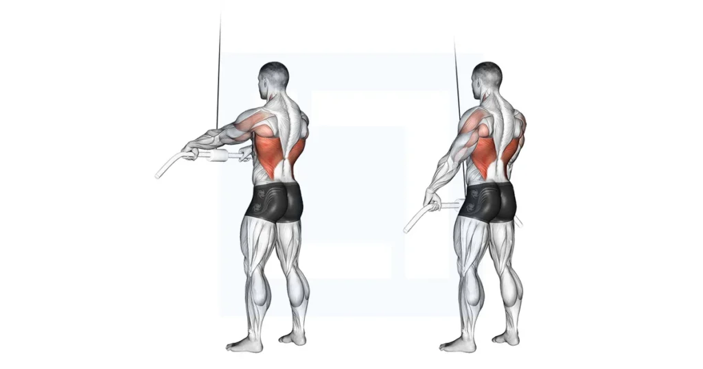Straight arm pulldown workout