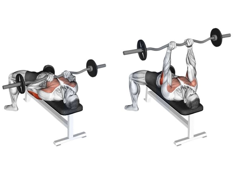 Close grip bench press workout