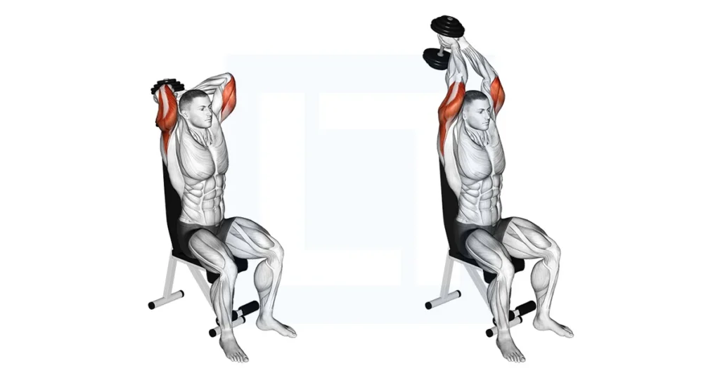 Dumbbell seated triceps extension workout