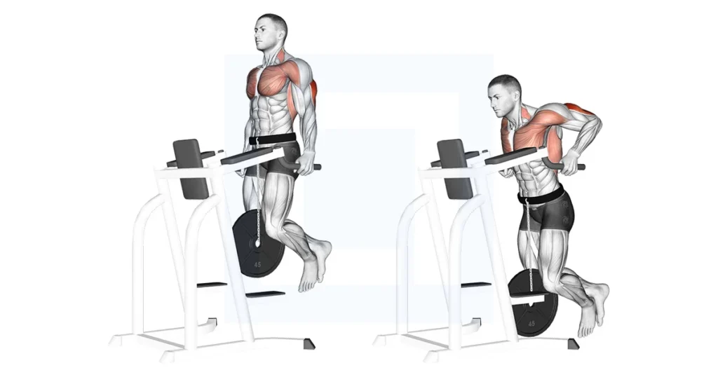 Tricep dips workout
