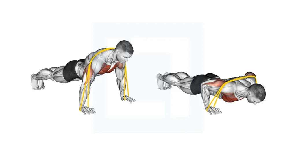 Banded push up workout