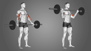 Barbell Curl Workout