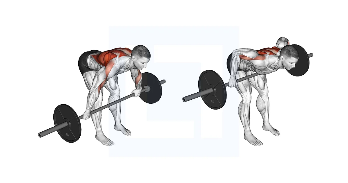 Bent over barbell row workout
