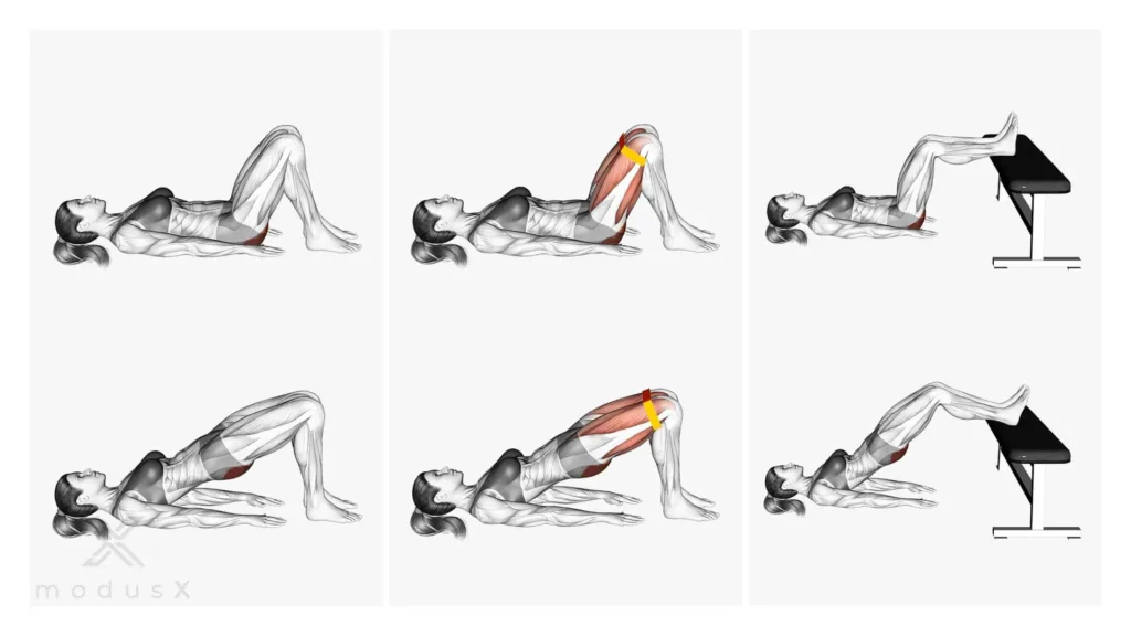 Glute bridge workout