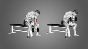 Concentration Curl workout