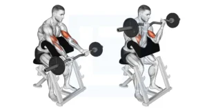 Preacher Curl workout